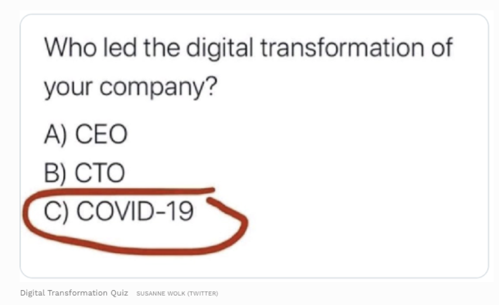 Who led the digital transformation of
your company?