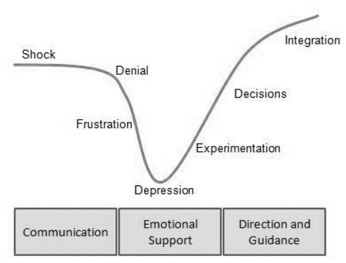 change curve stages
